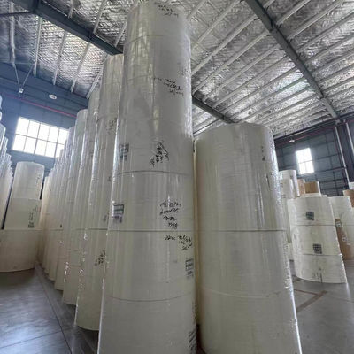 Polyethylene coated Paper Roll for food and beverage packaging