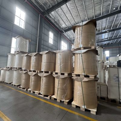 PE Coated Kraft Paper Cup Roll For Food Container Salad Box