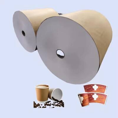 Buy PE Coated Paper Roll for Health and Safety Disposable Food Packaging online manufacture