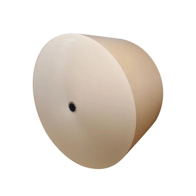 PLA Coated Paper Roll for High-Temperature Resistant Food Packaging Solutions