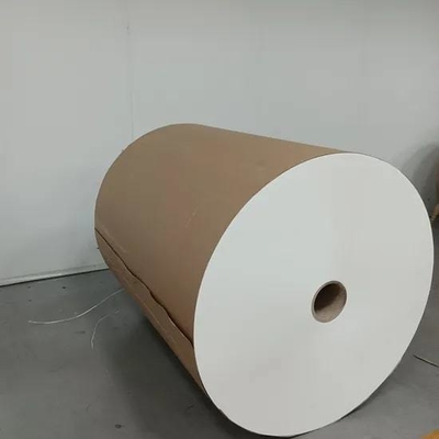 satın al Gıda Ambalaj Çözümleri için Çevre Dostu PLA Kaplı Kağıt Rulo online manufacture