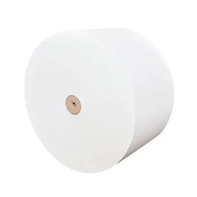 Waterproof and Greaseproof PE Coated Paper Roll for Food Packaging Solutions