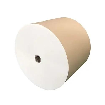 PE Coated greaseproof paper roll for beverage paper cups