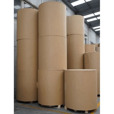 Customized PE Coated Kraft Paper Roll for Paper cups