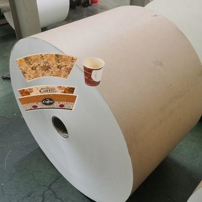 PE Coated greaseproof paper roll for beverage paper cups