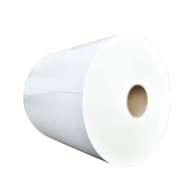 Eco-Friendly and Recyclable PE Coated Paper Roll for Food Packaging