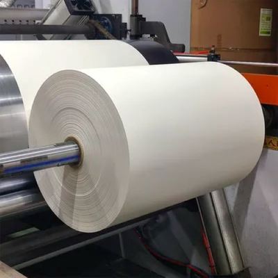 Buy Wholesale Raw Material Roll Size Disposable  PE Coated Paper Hot Cold Drink Coffee Soup online manufacture