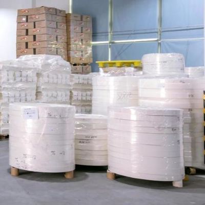 Beli 170/190/210GSM Pabrik Grosir Grosir PE PLA Lapisan Secangkir Kertas Roll Bagian Bawah Roll online manufacture