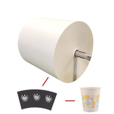 Buy Biodegradable Ice Cream PLA Coated Paper Roll With Logo Printing For Paper Cups online manufacture