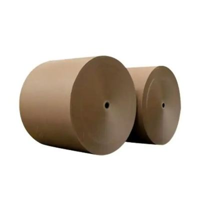 comprar Rollo de papel kraft recubierto de PE de grado alimenticio FSC para envases de alimentos y ensaladeras online manufacture