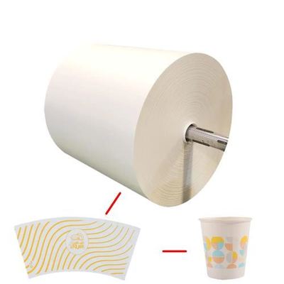 Buy Waterproof High Bulk White PLA Coated Paper Roll 150-350gsm 100% Virgin Wood Pulp online manufacture