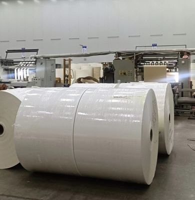 comprar Rollo de papel laminado con recubrimiento de PLA para beber en la escuela, grado alimenticio, peso estable 150-350gsm online manufacture