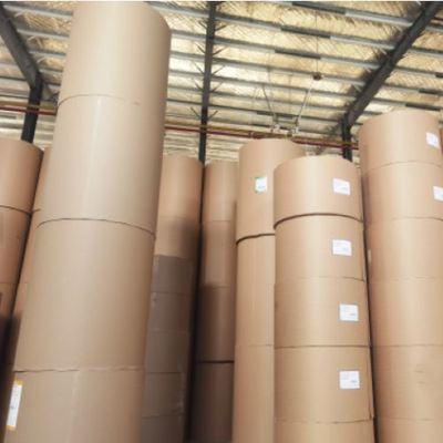 kopen Recycled Raw Synthetic Paper Rolls with PE Coated for Coffee Cup Making online manufacture