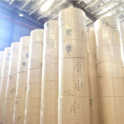 kopen Greaseproof  Packing Takeaway Cups Raw Material Single PLA Coated Customized Paper Cup Roll online manufacture