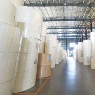 kopen Waterproof Cup Roll Coated Paper Roll to Produce Paper Single PE Bottom 150-350GSM White Beverage Offset Printing online manufacture