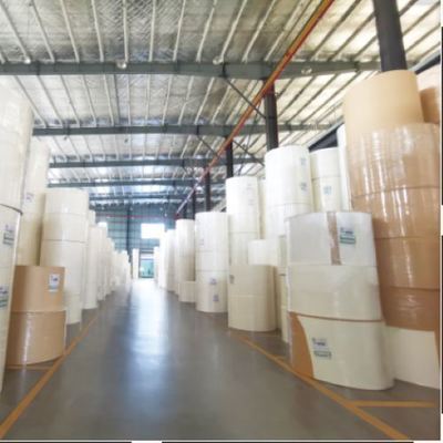 kopen Food Grade PE Coated Paper Roll Wood Pulp Waterproof Coffee Cups Raw Material online manufacture