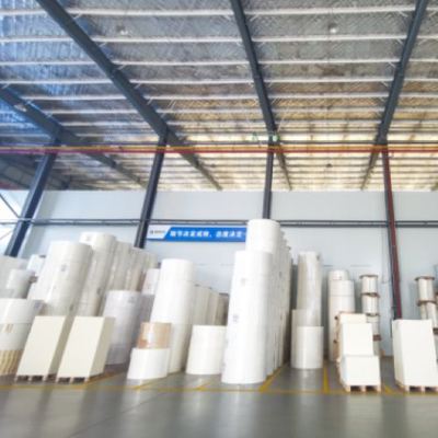 kopen 180-350GSM PE Coated Cup Stock Paper Roll for Paper Cup and Food Container online manufacture