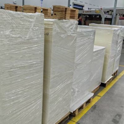 شراء Biodegradable Food Grade Wholesale Manufacturers Factory PE Coated Paper Sheets for Various Cups online manufacture