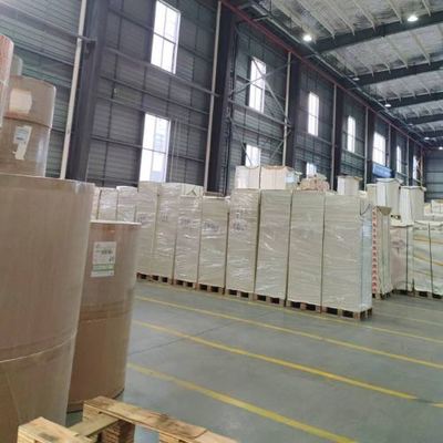 Buy Raw Materials Single Double Sided Offset Paper PE Coated Paper Sheet for Disposable Paper Cup Container Printing online manufacture