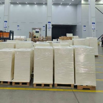 Mua Waterproof Food Grade Biodegradable Disposable PE Single Coated Paper Cup Raw Materials Sheet for Paper Cups online manufacture