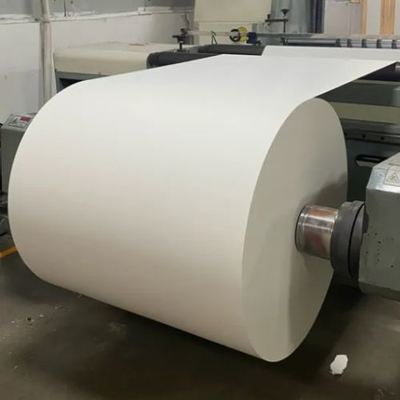 Mua Cốc giấy quạt PE sơn nguyên liệu giấy cuộn loại thực phẩm chống thấm giấy cuộn một lần sử dụng đơn hoặc hai mặt Whit online manufacture