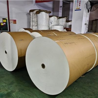 comprare 1-7 Colors Single Double PE Coated Brown Kraft Cup Paper Roll for Making Various Cups online manufacture