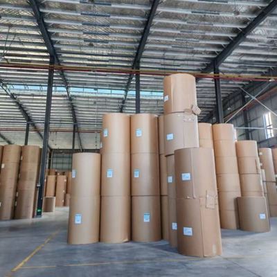 Buy 150 -350GSM Custom Designed Paper Roll with Single Double PLA Coating Paper Cup Raw Material online manufacture