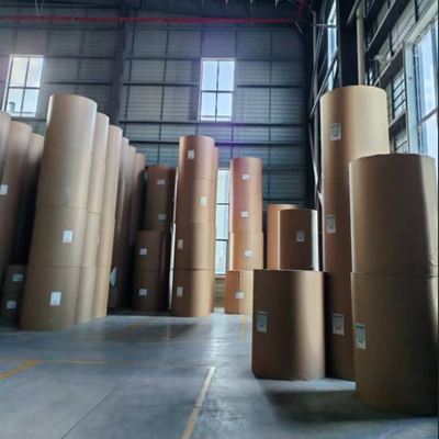 satın al Şeker torbaları ve kahve torbaları için fabrika doğrudan yağ ve nem geçirmez besin sınıfı PLA kaplı rulo kağıdı Gıda sınıfı ambalaj online manufacture