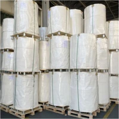 acheter Rouleaux de papier PE PLA enduit sur mesure, imperméables, pour le fond de tasses à café et à thé online manufacture