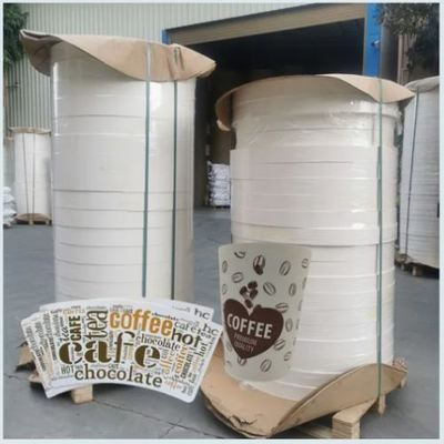 kaufen FSC-Fabrik Großhandel individuell angepasste Einzel PE-PLA-beschichtete weiße Papier-Becher-Bodenrollen online manufacture