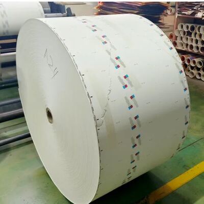 comprar Certificação FSC de grande quantidade 170-300+15GSM PE revestido papel de rolo de taça de papel de lado único duplo online manufacture