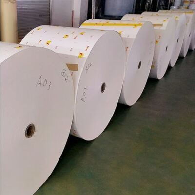 acheter Coupe en papier revêtu en PE à double face unique Matériaux premiers Imperméable à l'eau Personnalisé Boissons Ruloir de coupe en papier de qualité alimentaire online manufacture