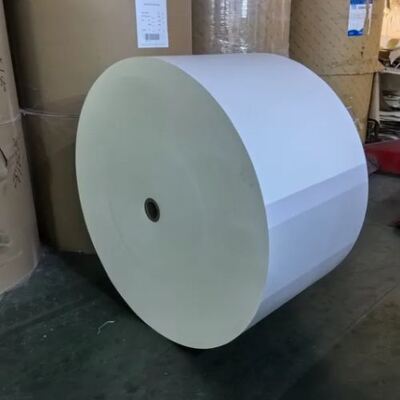 comprar Materia prima de papel para tazas de papel, papel recubierto en doble PE para tazas y cuencos online manufacture