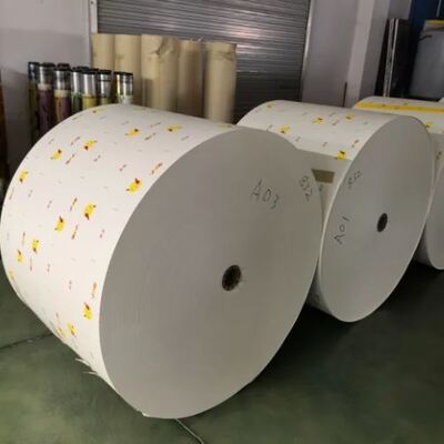 acheter Papier à couche PE unique en rouleau en papier artisanal en rouleau pour 100% de papier biodégradable en rouleau online manufacture