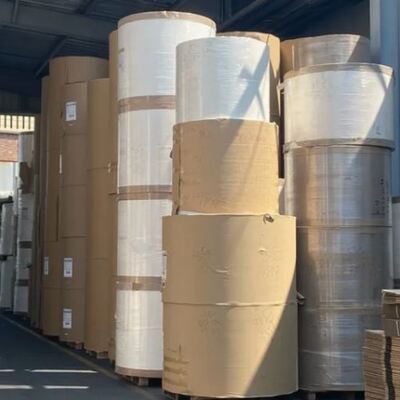 comprar Certificação FSC Copo de papel descartável de qualidade alimentar Matéria-prima Copo de papel Rolo de ventoinha e folha de papel revestido PE Rolo online manufacture