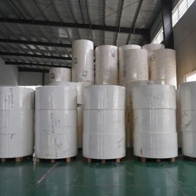 kupować Niestandardowy GSM 150-350 1-7 Kolory Akceptowalne OEM Puchar Papierowy Materiał Puchar Papierowy Roll online manufacture