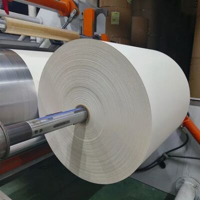 ซื้อ ปรับแต่งรับหลายสี 230GSM 4oz 6oz 8oz กระดาษเคลือบ PE แบบเดียวหรือคู่ online manufacture