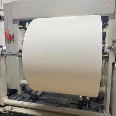 kaufen Umweltfreundliche Fabrik Warmverkauf Einweg 150 ~ 350GSM PE-beschichtete Papier-Cup Roll online manufacture