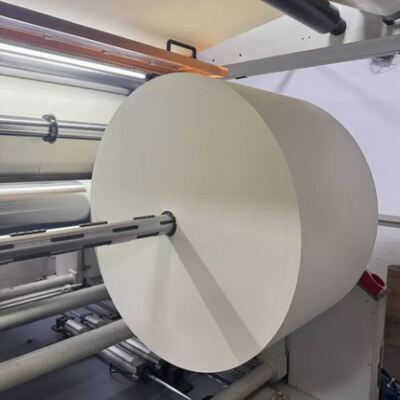 comprare Rollo di carta rivestito in PE singolo o doppio 100% polpa di legno impermeabile tazze da caffè Tae Materia prima online manufacture