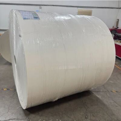 Buy Factory Logo Disposable Printing With Single or Double PE  Coated Coffee Paper Roll Cup Raw Material online manufacture