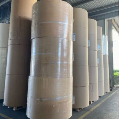 kaufen Einwegdruck Kaffeepapierbecher Rohstoff Papierrollen für 1-7 Farben Druckpapierbecher online manufacture