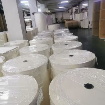 Buy Eco-Friendly Waterproof PLA Coated Paper Roll for Disposable Coffee Paper Roll online manufacture