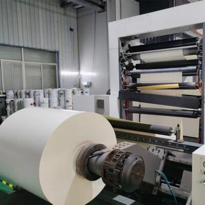 kupować Papier z recyklingu żywnościowego jednostronny, powlekany PLA, rolki papieru 1-7 różnych kolorów online manufacture