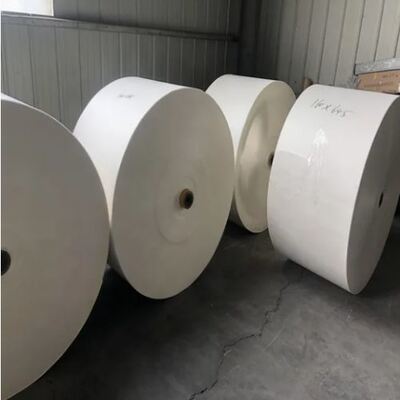 satın al Yüksek Kaliteli Biyolojik Olarak Bozunur Özel Logo Baskılı Sıcak Kahve Tek Kullanımlık Beyaz Kraft Kağıt Rulosu online manufacture