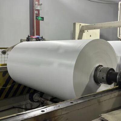 kaufen PLA beschichtet Custom Printing Logo 4OZ 6OZ 8OZ 12OZ Papierroll mit verschiedenen Farben OEM akzeptieren Wasserdicht online manufacture