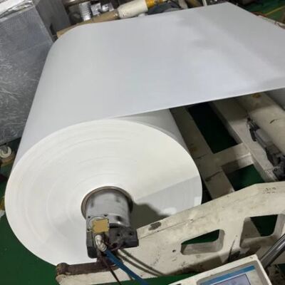 Mua Cuộn giấy tráng PE một mặt nhiều màu dùng một lần, chống thấm nước, cách nhiệt, phân hủy sinh học 6oz 7oz 8oz 9oz online manufacture