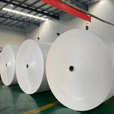 Buy Custom Flexo Offset Printing Die Cut Paper Rolls for Hot Drink Paper Cups online manufacture