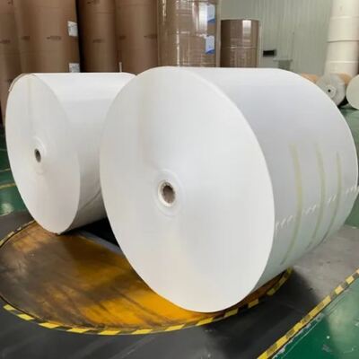 Mua Chống ẩm Chống nhiệt độ cao hai mặt PLA phủ giấy cuộn sản xuất nhà máy online manufacture