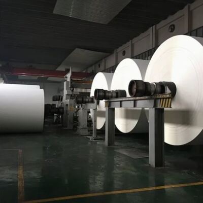comprar Copo de papel reciclável Rolo Fornecedores de papel duplo revestido com PE impresso sob medida Rolo de copo de sorvete online manufacture