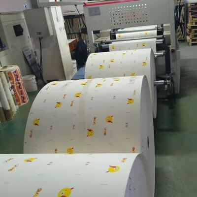 comprar Rollos de papel para vasos con impresión flexográfica y revestimiento de PE de 190-300GSM con logotipo personalizado para impermeabilización de vasos online manufacture